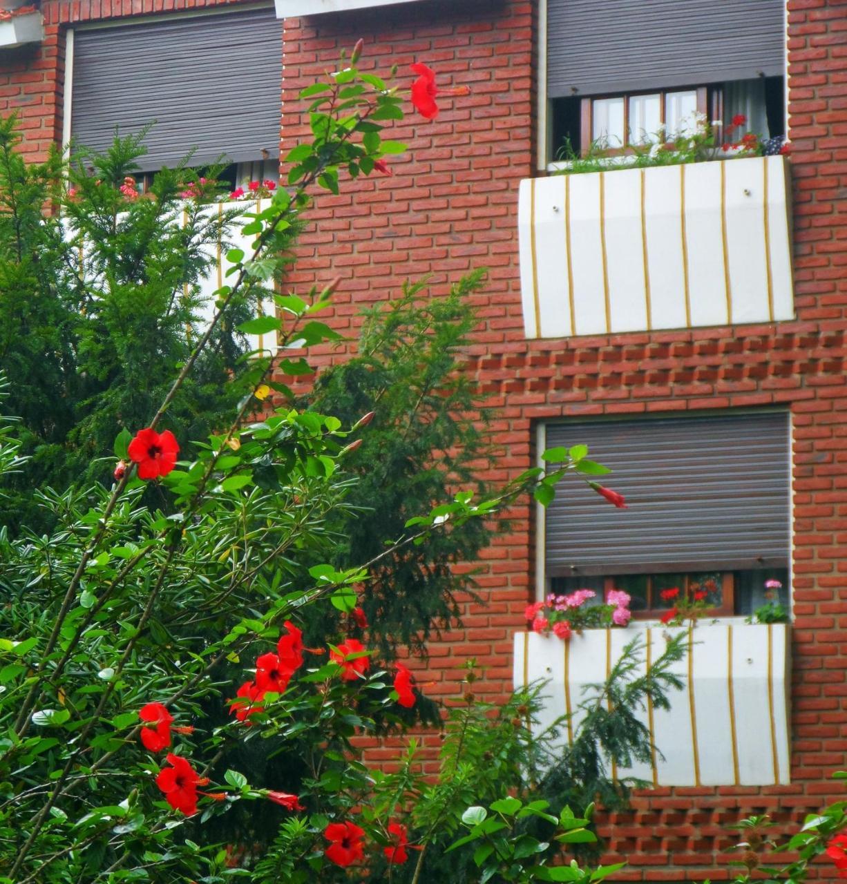 Hotel Eo Park San Clemente del Tuyú Εξωτερικό φωτογραφία